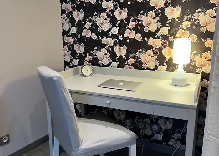 Le Cosy De La Dent Du - Classe 3 Etoiles - Hyper Centre Aix Les Bains