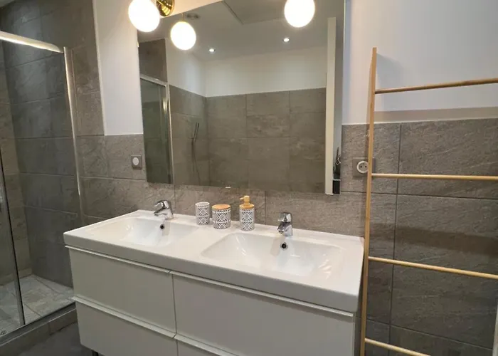 Le Cosy De La Dent Du - Classe 3 Etoiles - Hyper Centre Aix Les Bains *