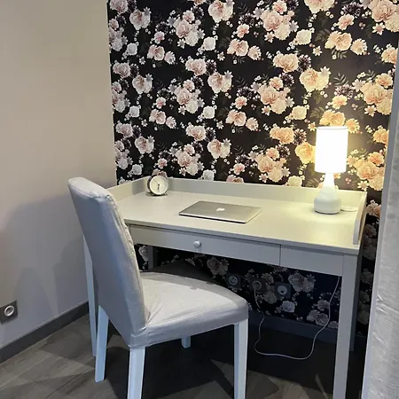 Le Cosy De La Dent Du - Classe 3 Etoiles - Hyper Centre Aix Les Bains