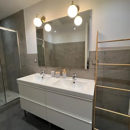 Le Cosy De La Dent Du - Classe 3 Etoiles - Hyper Centre Aix Les Bains *