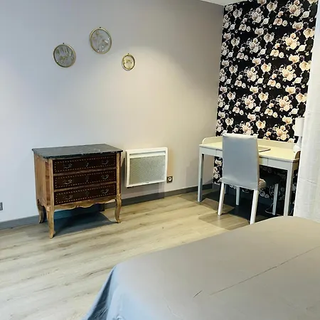 Le Cosy De La Dent Du - Classe 3 Etoiles - Hyper Centre Aix Les Bains Aix-les-Bains