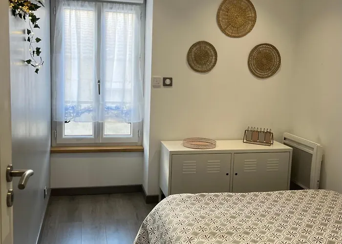 Le Cosy De La Dent Du - Classe 3 Etoiles - Hyper Centre Aix Les Bains * 艾克斯莱班