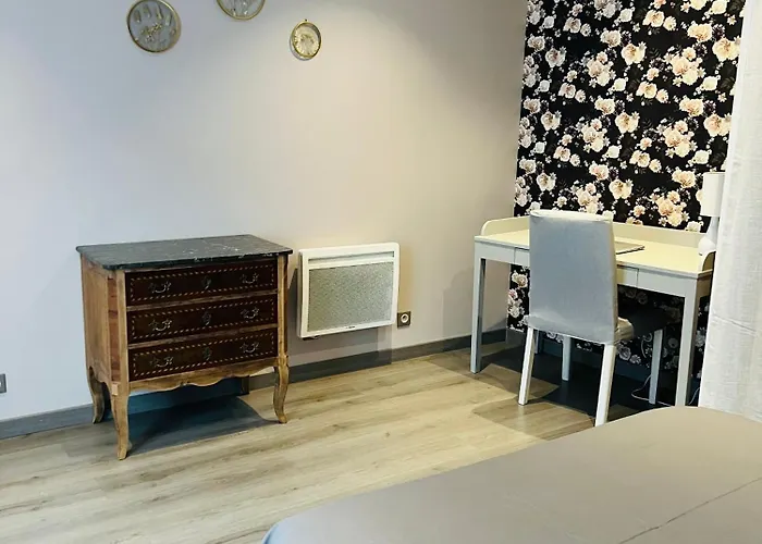 Le Cosy De La Dent Du - Classe 3 Etoiles - Hyper Centre Aix Les Bains 艾克斯莱班