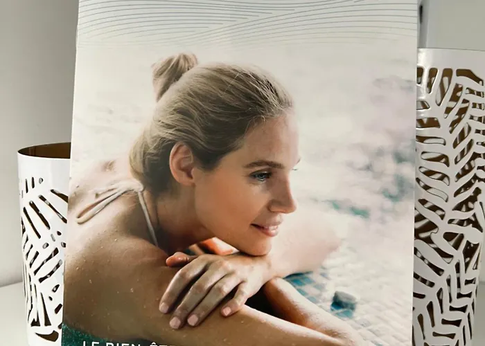 Le Cosy De La Dent Du - Classe 3 Etoiles - Hyper Centre Aix Les Bains * 艾克斯莱班